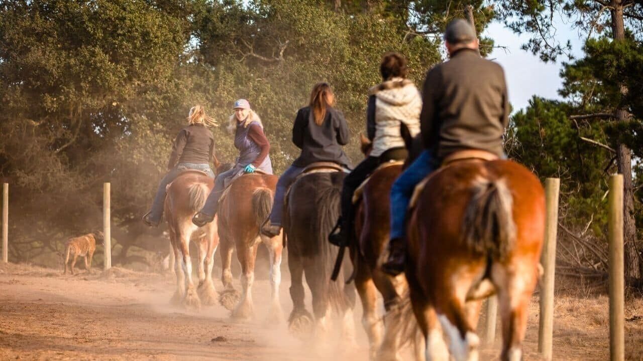 07_Covell’s Clydesdales